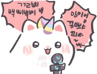 로아 이번 주 코니 보상 결과