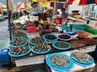 자갈치 시장 왔음