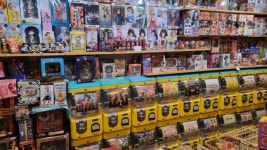 경기 경기도 안산 덕질여행 안산에서 덕질하는 방법 feat시흥