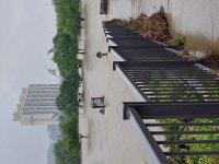 산책로였던 곳 시즌2 확장팩 | 오늘의 유게 산책로였던 곳 시즌2 확장팩 | 오늘의 유게 | 루리웹