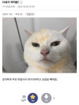 오늘의 단또jpg