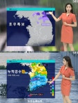 내일도 무더위 기승내륙 안개주의 금요일 중부 차츰 비