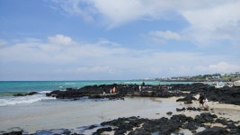 오늘 제주도 날씨 | 유머 게시판 오늘 제주도 날씨 | 유머 게시판 | 루리웹
