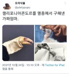 멸종 위기 동물을 구해낸 방법jpg
