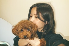 멍뭉이~ | 엑스박스 잡담 게시판 멍뭉이~ | 엑스박스 잡담 게시판 | 루리웹