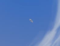 용군단 용조련술 종합 가이드기본 정보 기술 및 특성 문양 위치 등