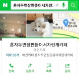 왠지 뭔지 알 것 같은 카페 이름.jpg | 정치유머 게시판 왠지 뭔지 알 것 같은 카페 이름.jpg | 정치유머 게시판 | 루리웹