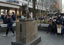 페르소나5하치 이야기