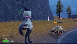 쏘콘은 대폭발을 사용했다