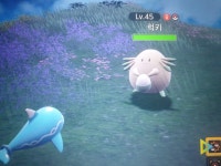 포켓몬9세대 첫 이로치 포켓몬 럭키 겟