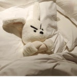 좀 빡친 토끼 인형