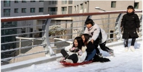 눈썰매장 된 아파트 산책로