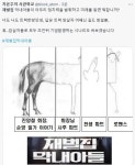 국밥집외동아들 오늘 마지막화 트위터 반응