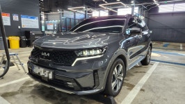 쏘렌토 세차기록들