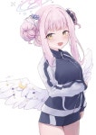 블루아카미카매미가 아직 존재한다는 증거