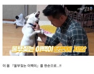 커...커헉...! 네 녀석... 고작 인간 주제에...!! | 유머 게시판 | RULIWEB 커...커헉...! 네 녀석... 고작 인간 주제에...!! | 유머 게시판 | 루리웹