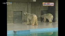 동물들도 아는 출퇴근 시간 | 유머 게시판 동물들도 아는 출퇴근 시간 | 유머 게시판 | 루리웹