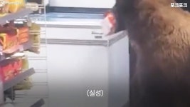 새벽마다 편의점 털어가는 악질 도둑놈