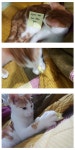 어머 참 이쁜 돼지네요.jpg | 유머 게시판 어머 참 이쁜 돼지네요.jpg | 유머 게시판 | 루리웹
