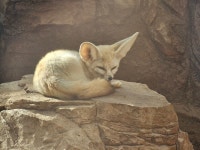 현재 국립생태원1