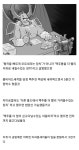 워해머냉혹한 드워프 공중 주유의 세계