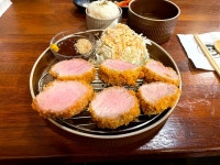 요즘 제주도 맛집 근황