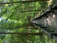 근로자의 날 기념 산책 3