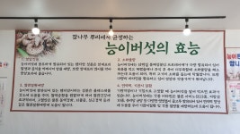MM700│5.3 점심은 능이칼국수 | 남궁루리 5.3 점심은 능이칼국수 | 남궁루리 | 루리웹
