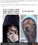 TRPG] 중2병 걸린 도적 캐릭터에 대한 대처법.jpg | 유머 게시판 TRPG] 중2병 걸린 도적 캐릭터에 대한 대처법.jpg | 유머 게시판 | 루리웹