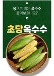 네이버 초 고당도 초당옥수수 첫출하 30세일 7900원무배