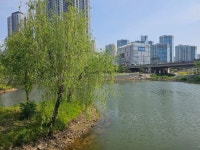 공원이에오 공원 | 유머 게시판 공원이에오 공원 | 유머 게시판 | 루리웹