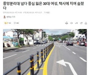 중앙분리대 넘다 중심 잃은 30대 여성, 택시에 치여 숨졌다 | 유머 게시판 중앙분리대 넘다 중심 잃은 30대 여성, 택시에 치여 숨졌다 | 유머... 