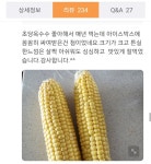네이버 제주 초당옥수수 9900원 무료배송