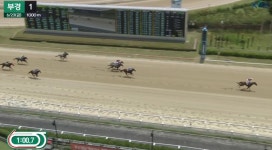 K경마 유게이가 겪은 오늘자 특이사항