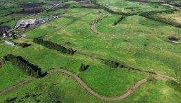 구좌읍 용눈이오름 | 유머 게시판 구좌읍 용눈이오름 | 유머 게시판 | 루리웹