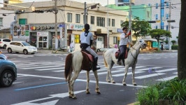 제주도민들의 자가용 | 유머 게시판 제주도민들의 자가용 | 유머 게시판 | 루리웹