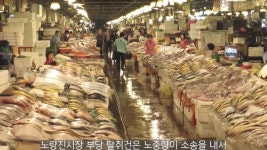 전낙지 일가에게 재산을 강탈당했던 레전드 모델