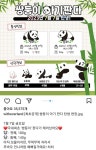 에버랜드 쌍둥이 판다 탄생 소식