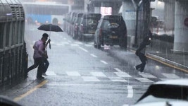 속보] 서울 구로구에 극한호우…첫 긴급재난문자 | 사회/정치/경제 정보 속보] 서울 구로구에 극한호우…첫 긴급재난문자 | 사회/정치/경제... 