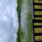 대전 컨벤션센터