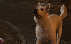 야영장은 힐링하는 곳이죠