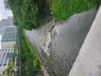 현직 청계천(동묘) | 유머 게시판 현직 청계천(동묘) | 유머 게시판 | 루리웹