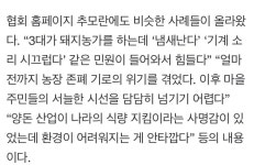 악취민원 너무 힘들다 모범 돼지농가 농장주 극단적 선택 | 유머 게시판 악취민원 너무 힘들다 모범 돼지농가 농장주 극단적 선택 | 유머 게시판... 