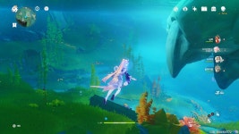 원신 바다 속 풍경