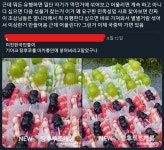 유행하면 뭐든 끼얹은 이유 | 유머 게시판 유행하면 뭐든 끼얹은 이유 | 유머 게시판 | 루리웹