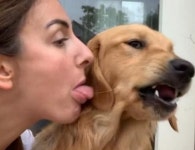 강아지에게 할짝