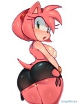 에이미 로즈