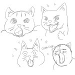 이마시아jpge
