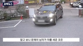 뉴스 이래서 자석펫 자석펫 하는구나