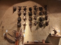 스압 나가노 기행 2일차 스와대사 기행